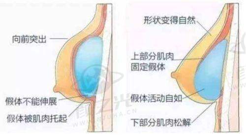 长沙美诺美和医疗美容诊所核心医美项目
