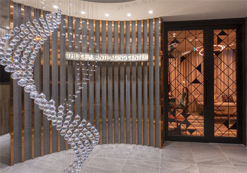 韩国the cell皮肤科(江南本店)核心项目