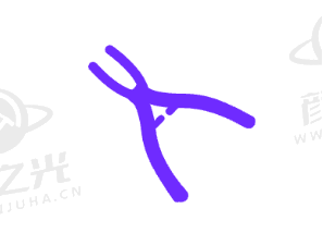 大理众牙口腔门诊部价格参考